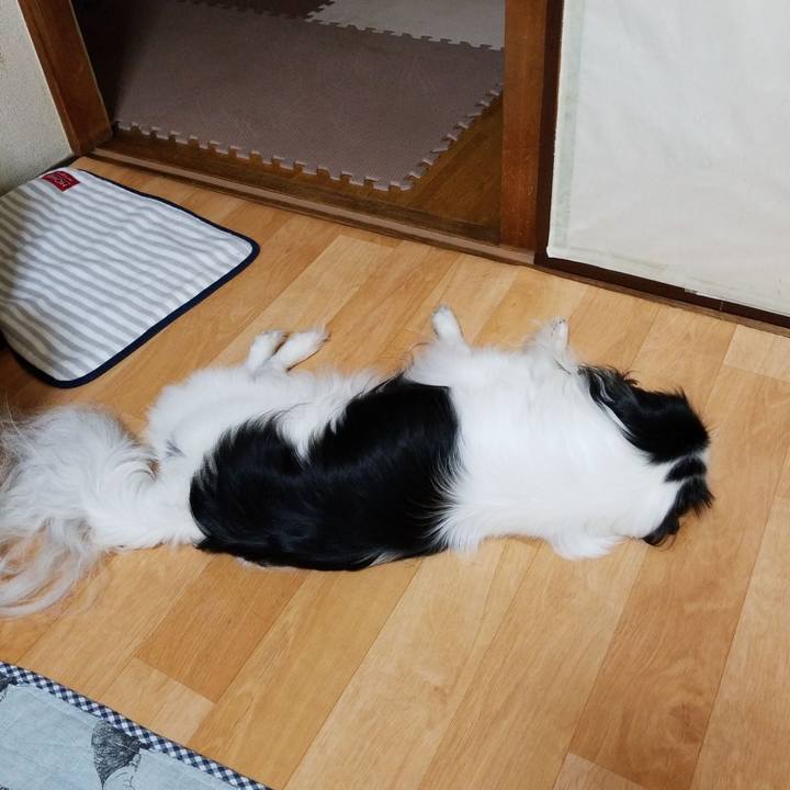 89ae1067 a076 4645 9adc 054fe1f52ea3 1537699327424