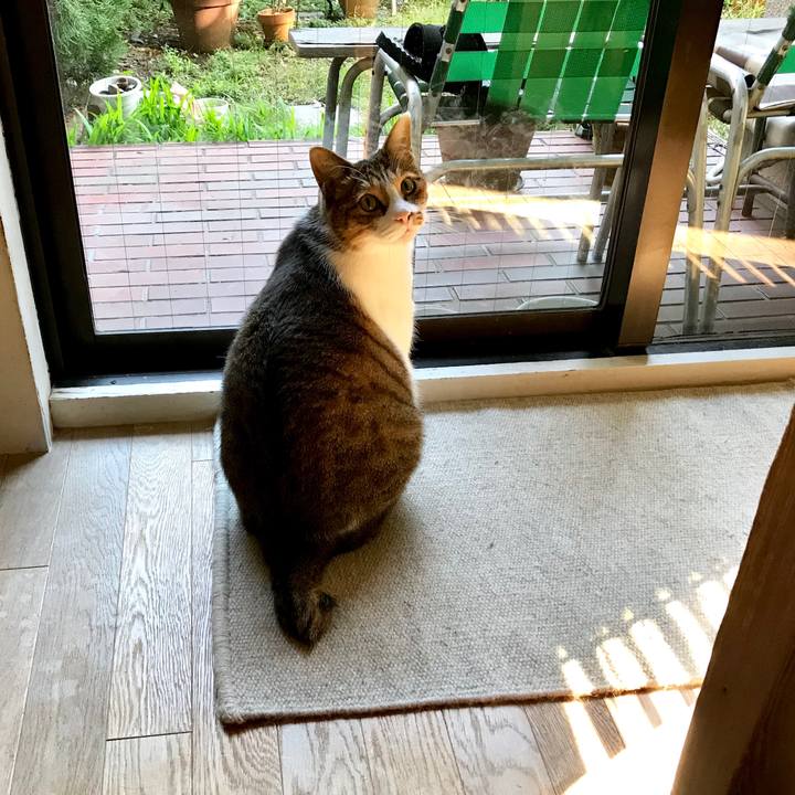 89ae22c5 a169 4f70 9da1 1cd1d016c0eb 1541147633494