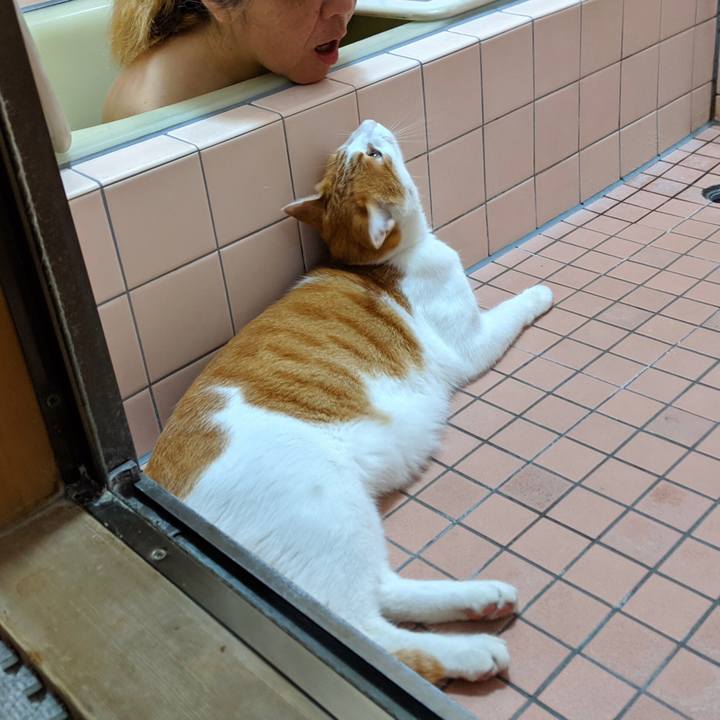 89ae44ce 75ee 4d1b af3b e1f468a8e0c1 1564931315597