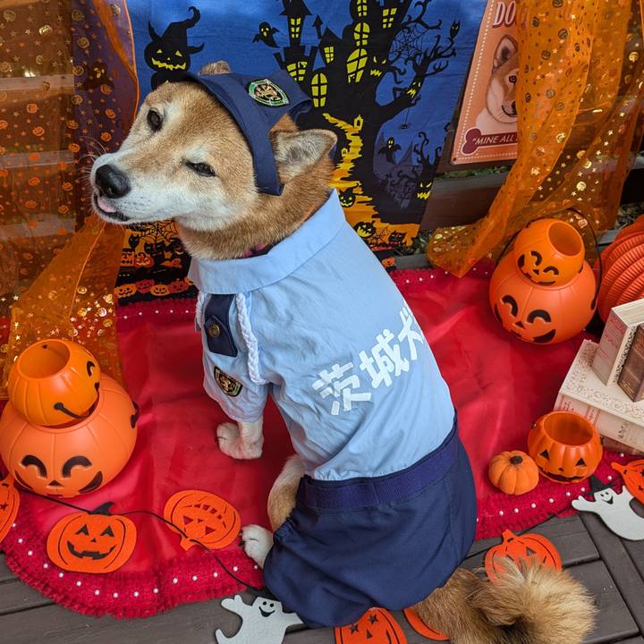 89ae46c4 fcfe 4bfb aaa9 b43b63a50434 1730461747337