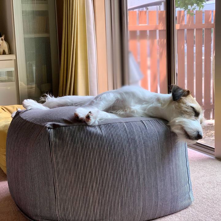 89ae6287 b7f1 4702 af68 286feff41f2a 1655632202125