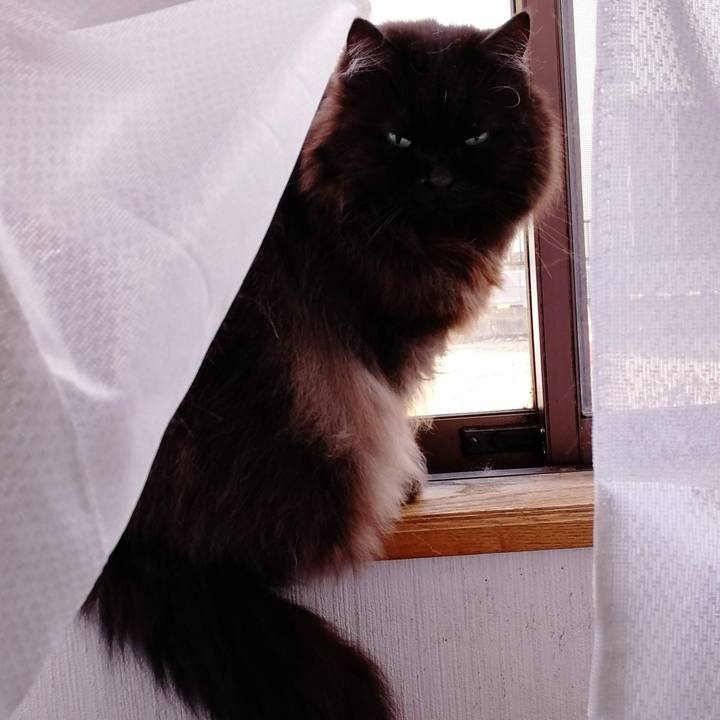 89ae6e35 2600 4940 a494 76242163e968 1547300841898