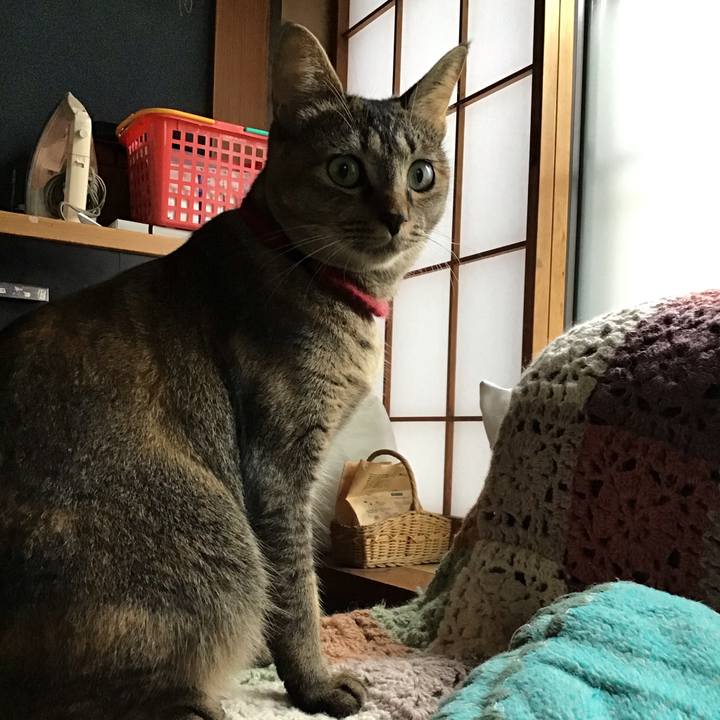 89aeb0fd a5c6 4d0f 8be3 75761d734fb9 1600209881526