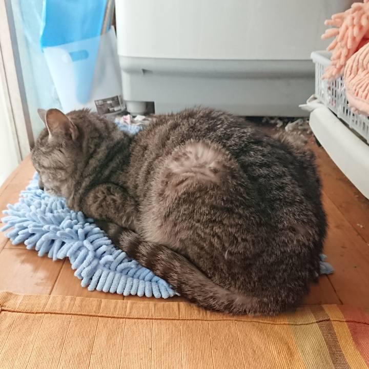 89aeca15 5071 48b5 933b 9f4a54d4ba3b 1561761686367