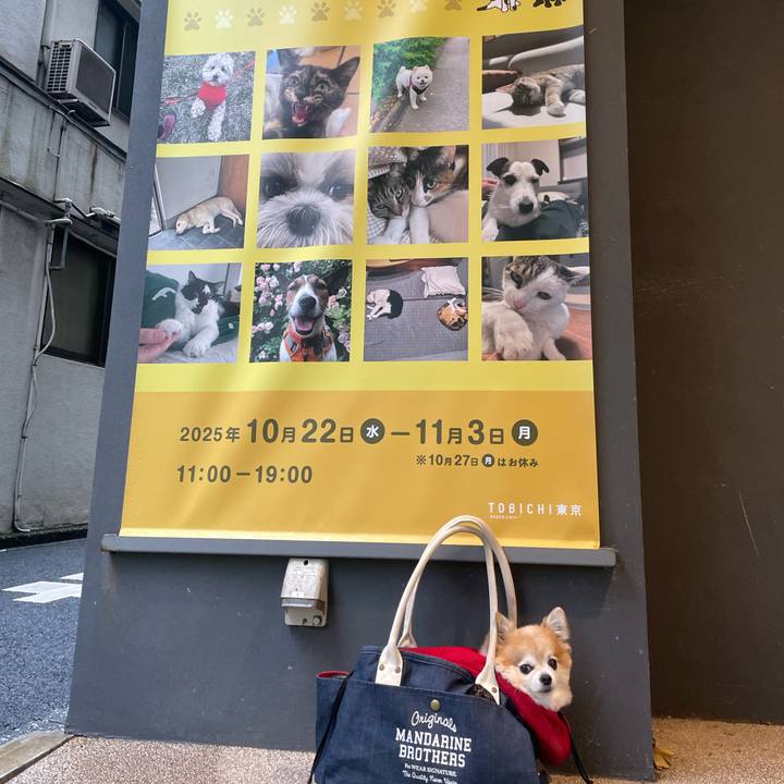 89aed5cb d60b 420c a6f8 4c1696aec5dd 1761447222714