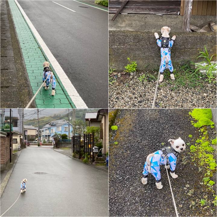 89aed5d0 b99d 48ba ad5d 89d1de44a56f 1592776492553