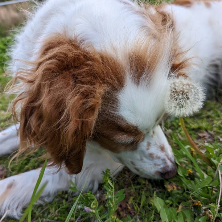 89aefca1 8c5b 4c20 b027 020da17288cc 1665195052238