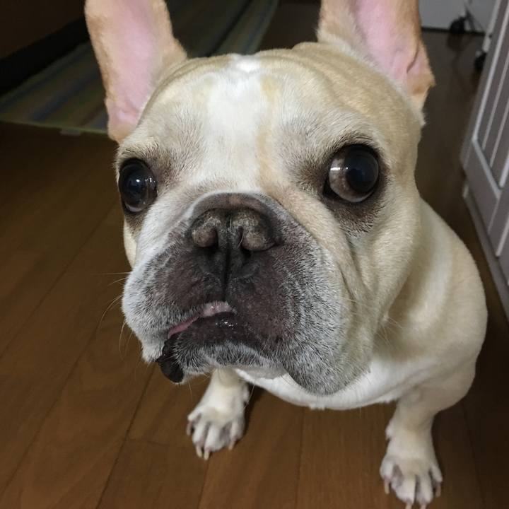 89af0b09 109b 4c31 b4b0 aa87a6e7b931 1511108401979