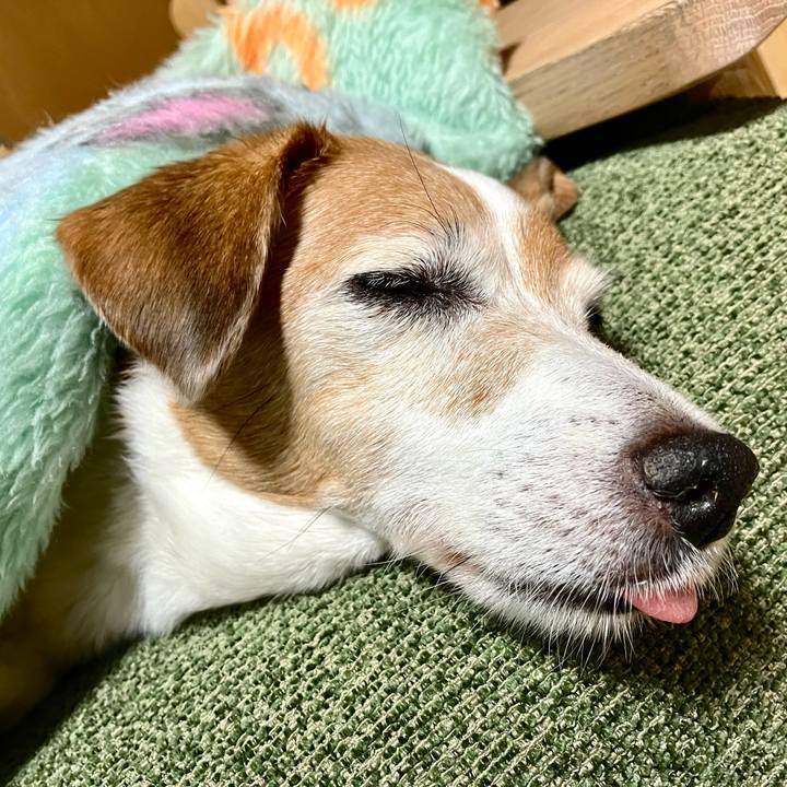 89af3949 443a 4cbf 93ba 0f0fd878c8c4 1699009779334