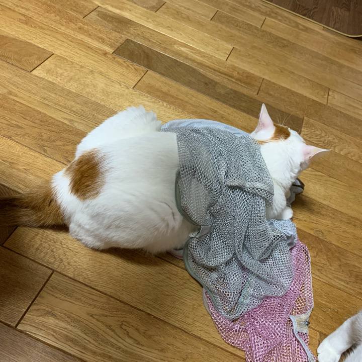 89af5796 8c71 4c7c 8654 d7d98ed48c49 1604494242554