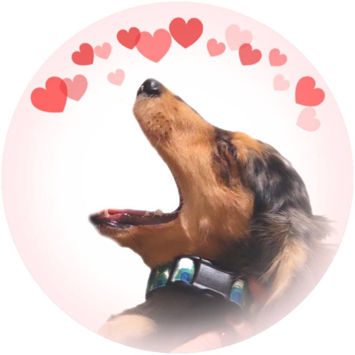 89af75ed d9c1 4966 87b0 7cba59273b89 1700820864137