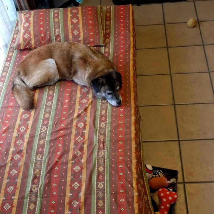 89af8d7a 2b5c 4fd1 8eac 9b5c894386f4 1533547739082