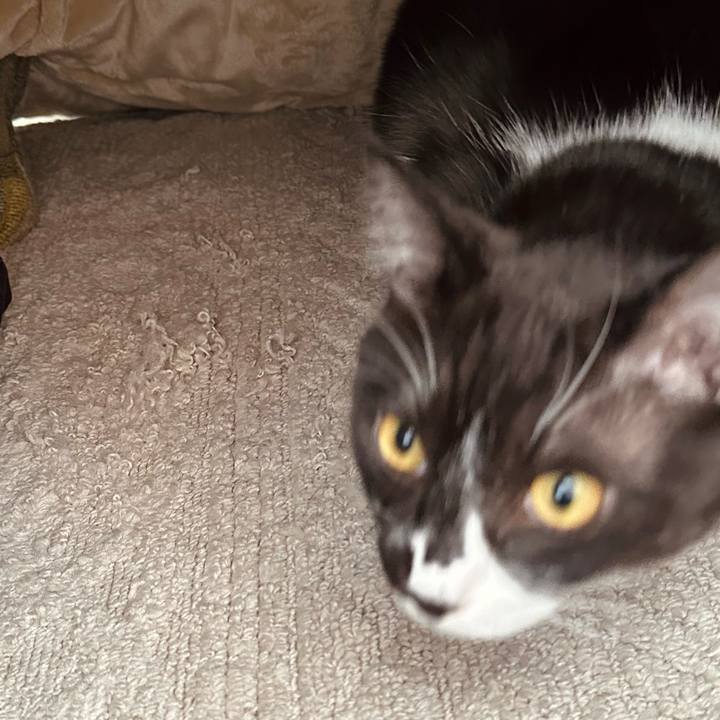 89af9dbc e6e0 4b30 991f 5bdef6ab5d0a 1767415023080