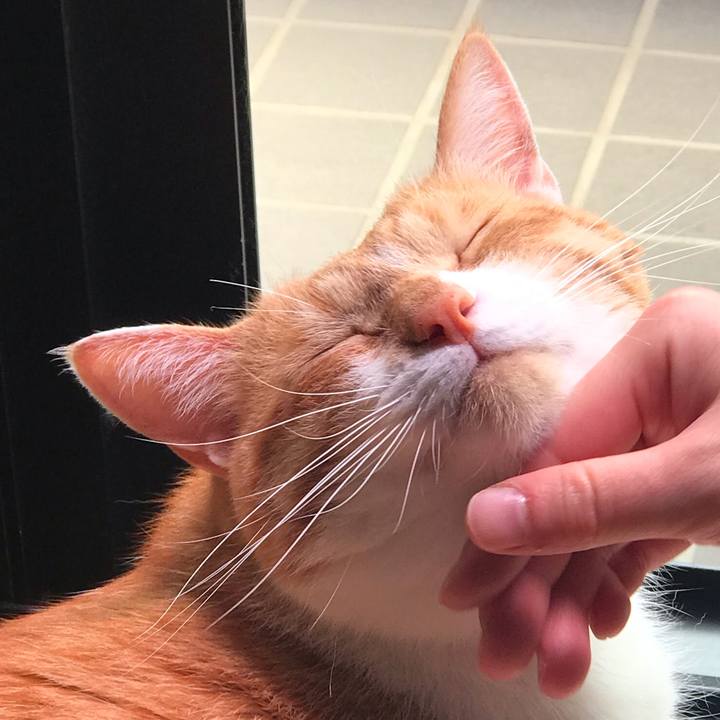 89afa641 7c93 4e55 bd5c ee68b1eea0ff 1558314314044