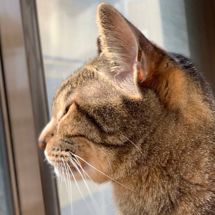 89afae8f dff5 4583 8b73 bb67b9b6343b 1552438236051