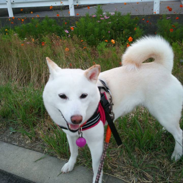 89afc836 c691 475d b070 32d717a536f4 1562754263237