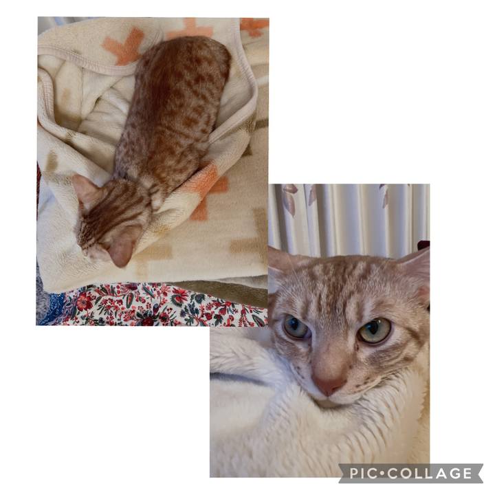 89afd22c 7f6f 4444 8fa1 16ac091e1ecb 1679394865661