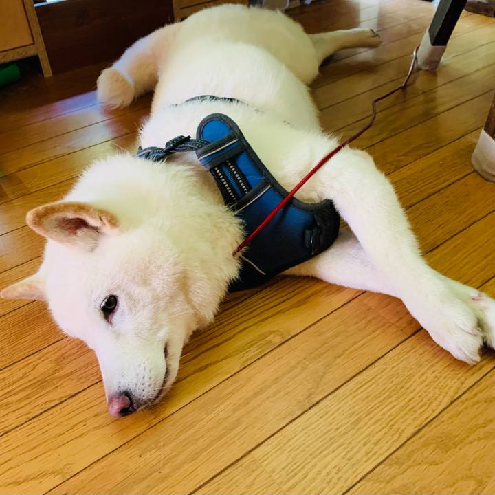 89b00afb ea9d 42ac a677 614753dc2115 1625007290076