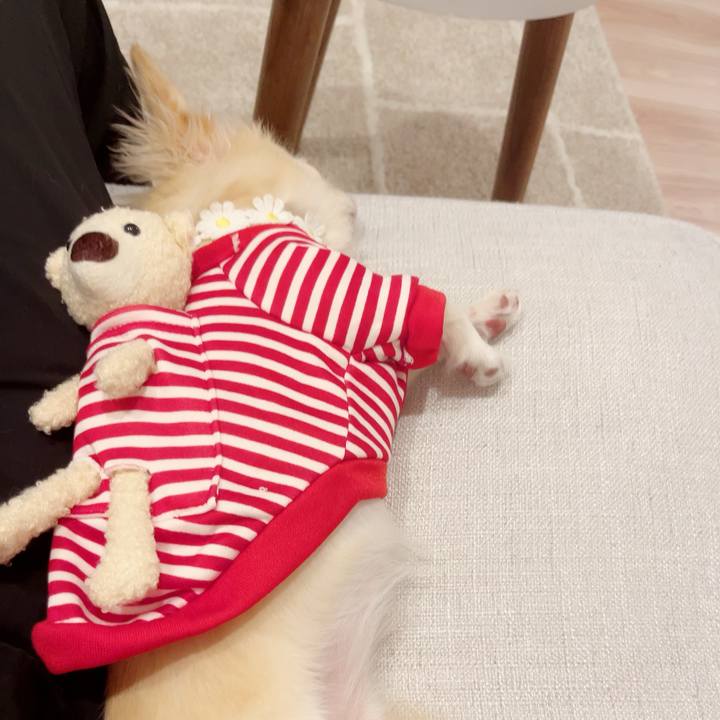 89b00f29 cc28 489b 84ec 3e9978cbd6d7 1691399178307