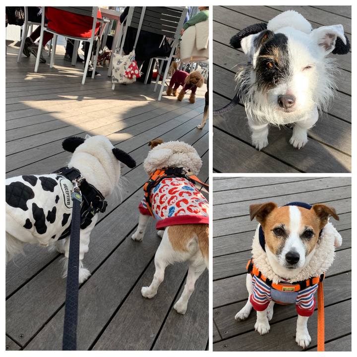 89b017fb 5253 45cf 928d 35a1fc045f7d 1578884360323