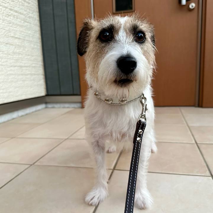 89b05aee 9c31 4add aa9c 8868bb24a1c4 1726192199082