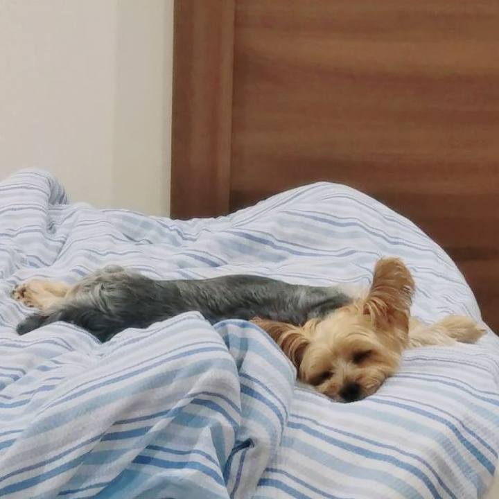 89b06279 4c25 4060 a733 99556532fb79 1663591529661