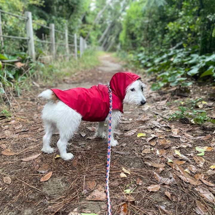 89b07bea 5c0a 4b65 a5fa f192cb4883da 1759877873414