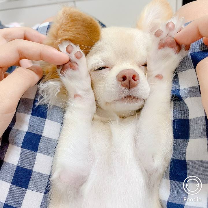 89b07da0 7185 4eb1 b808 3ed1a031809f 1601365029564