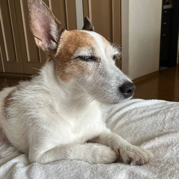 89b0da47 0533 4a88 a205 573ca7e41751 1693437732786