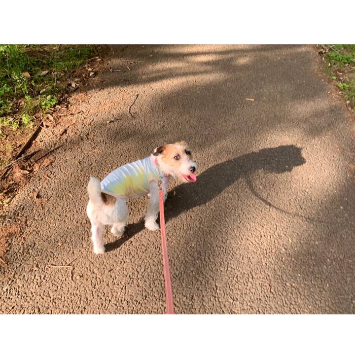 89b0e67f 8f60 4143 8549 201b4a115937 1590396973631