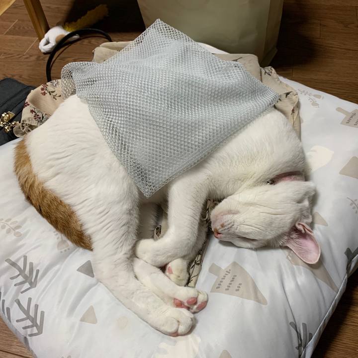 89b0fb91 a6f7 4124 aeb1 6b1e7e657b48 1567874946232