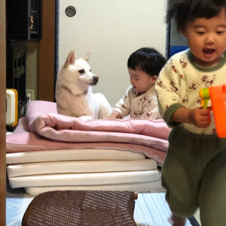 89b10aa0 ab7e 43b6 801e 5ce6affdf663 1648889030521