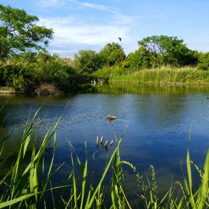 89b11124 29af 477c a178 fbba16415e5c 1558313715857