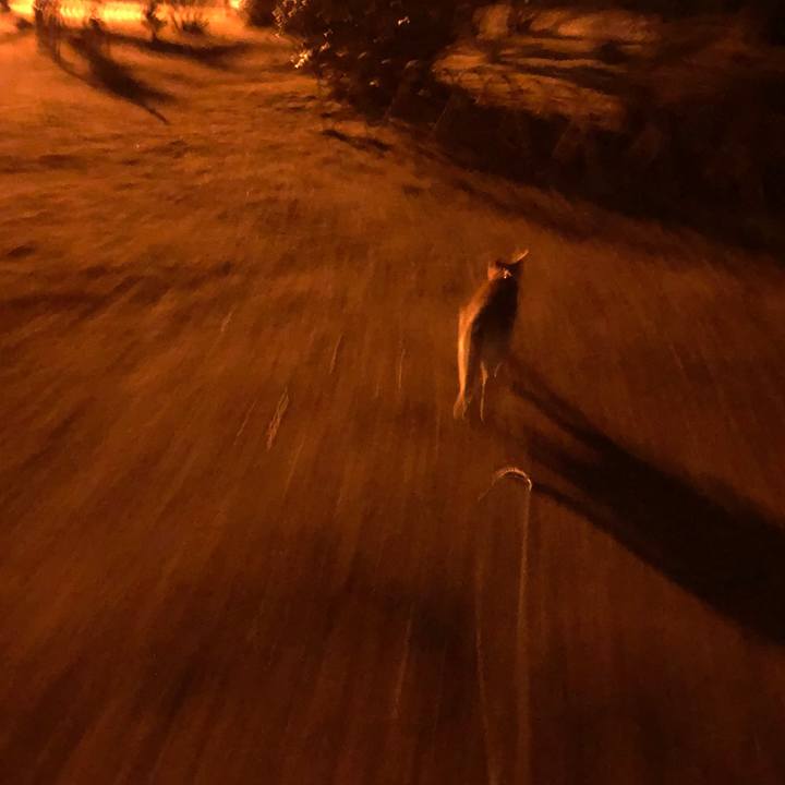 89b116ac 9b05 49a1 959d cdb94ba2a553 1551606467800