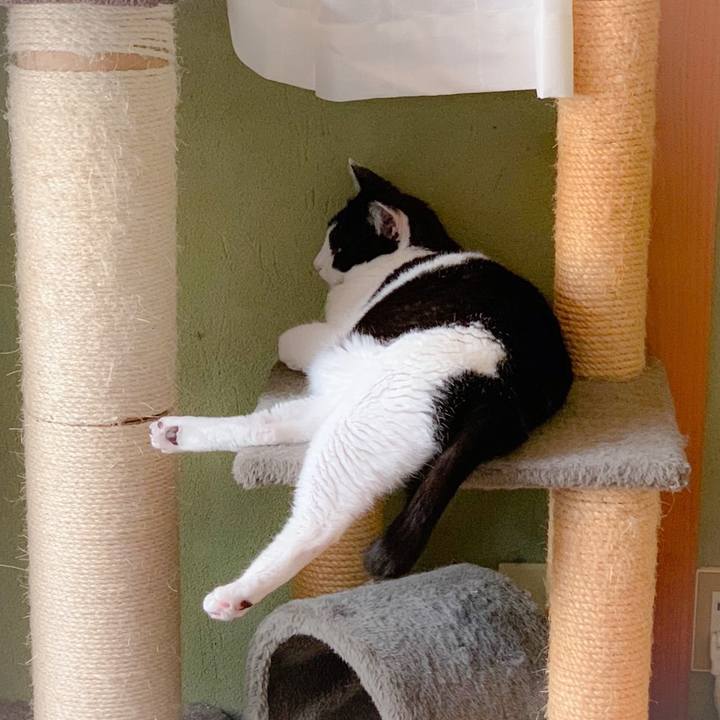 89b15137 182f 4372 8e67 42a6a554f0d5 1560736868865