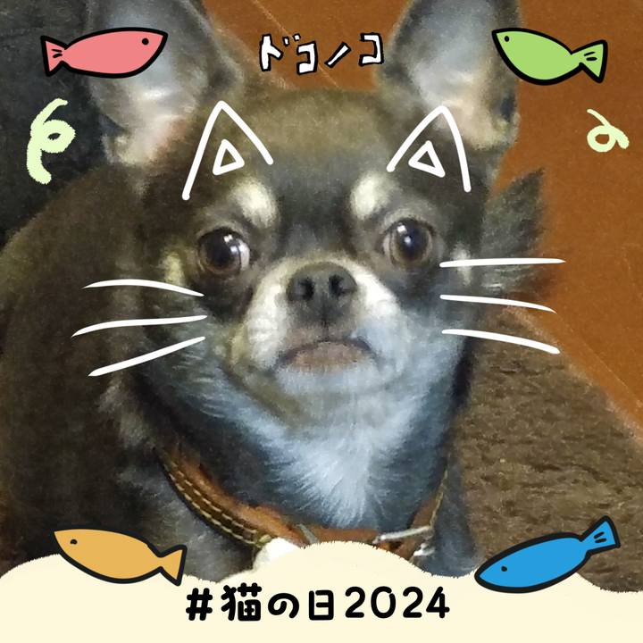 89b151ec 3ca1 445d ac9c d8d3b4043411 1708588541783