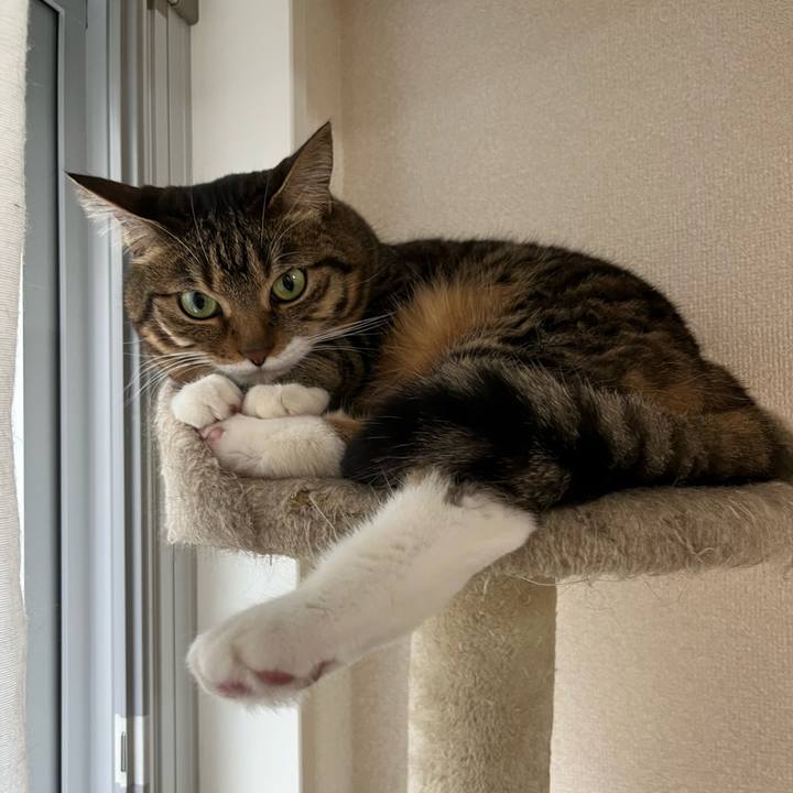 89b15502 0f4f 4e3e b939 f3f814f743ec 1684675084168