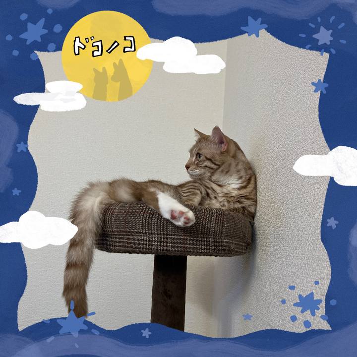 89b1a130 403e 4b97 bab1 0ad4a41618bd 1726920267215