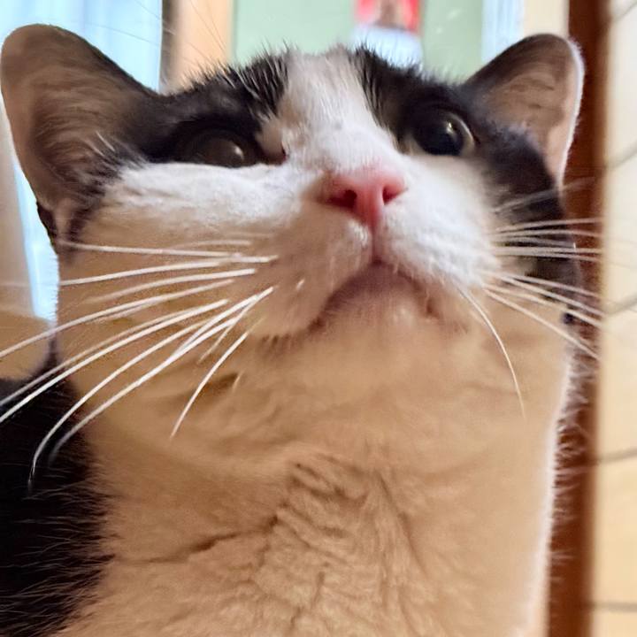 89b1dc54 1eaa 4e0a a283 a282f691ac74 1775527815725