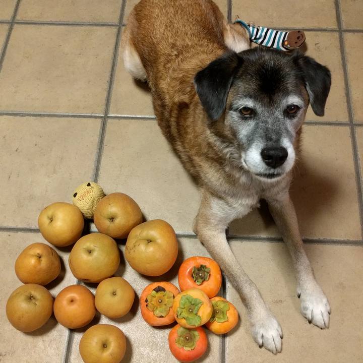 89b20881 203e 426f 9136 0cc4caa1dce1 1540974480072