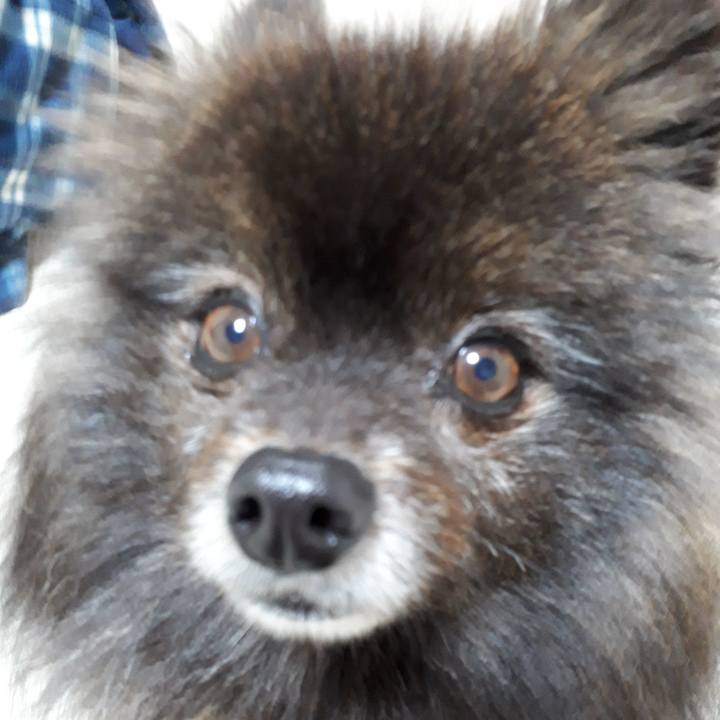 89b277ef e436 452f bced ec30833d8003 1517223766377