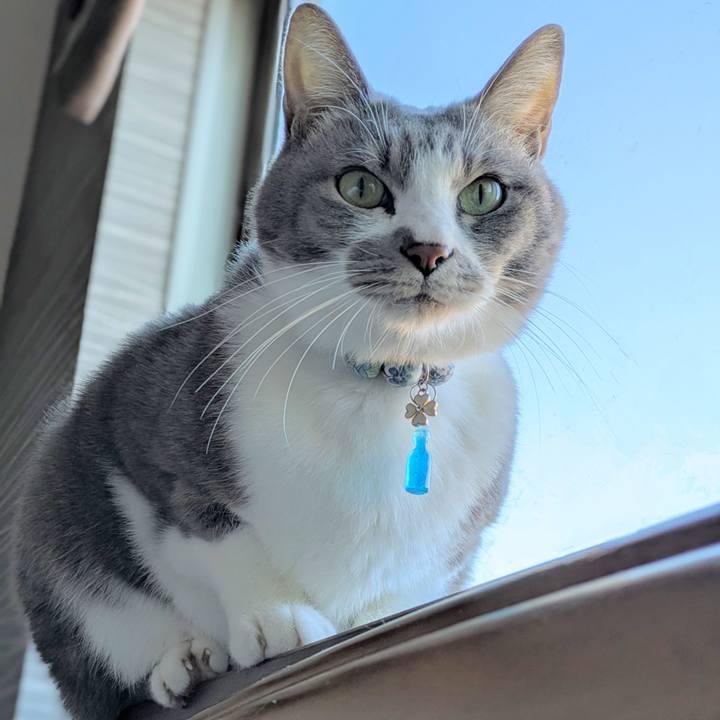 89b28558 db0f 4527 afa8 cdd49e6450f0 1735696826855