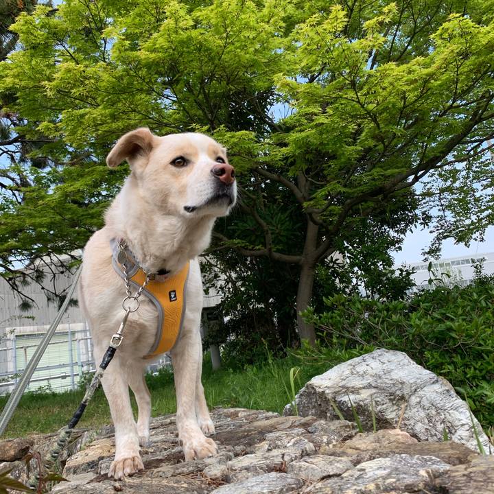 89b2927b 44a5 4a98 a4d7 cf224e9fe8f9 1555250583127