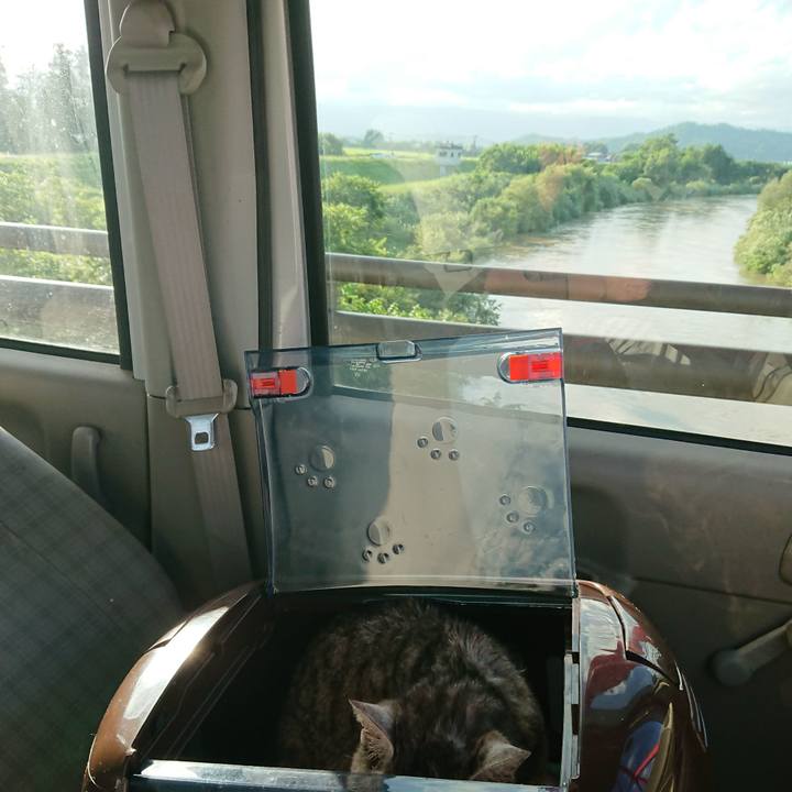 89b29668 7cd4 4307 8768 41ac3fa4f018 1596101865107