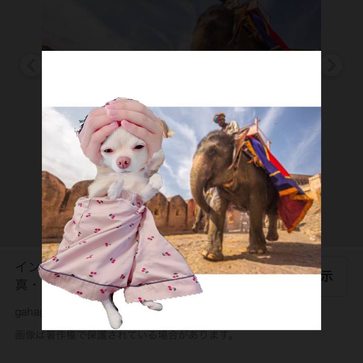 89b2c462 51ee 45b0 8e3d 73d0e2d9f3d5 1692960066728