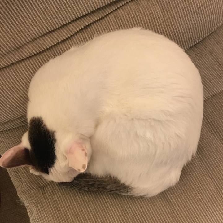 89b31176 5810 4b81 95e1 8ada25b9400d 1511091172229