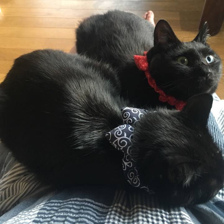 89b3186d a4fb 4fd6 b91f d1b74c07acd6 1536959281686