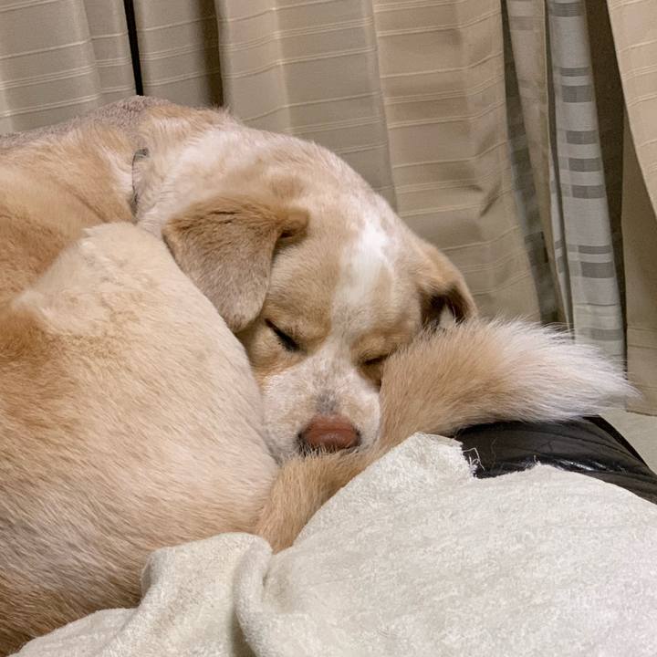 89b35278 35e7 4e1a 8d06 477ef77f72fb 1556641041592