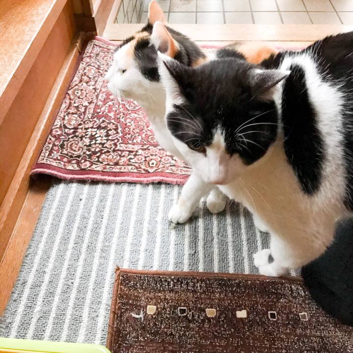 89b38f81 6d05 4b16 b934 a50e163f9978 1523581108912