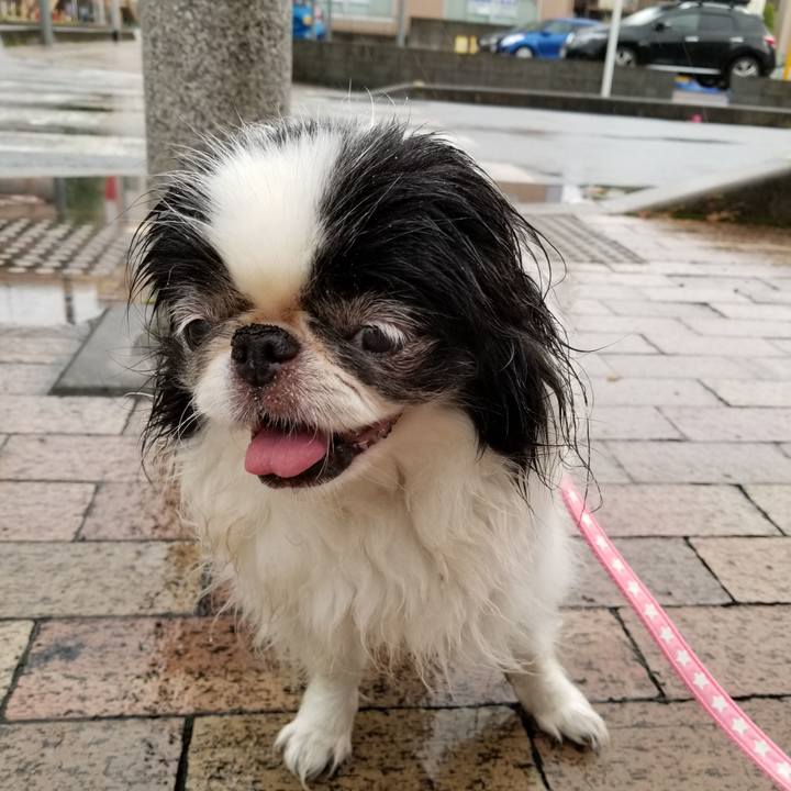 89b3be06 05a9 4483 831a 1b05de6017fc 1532861264300